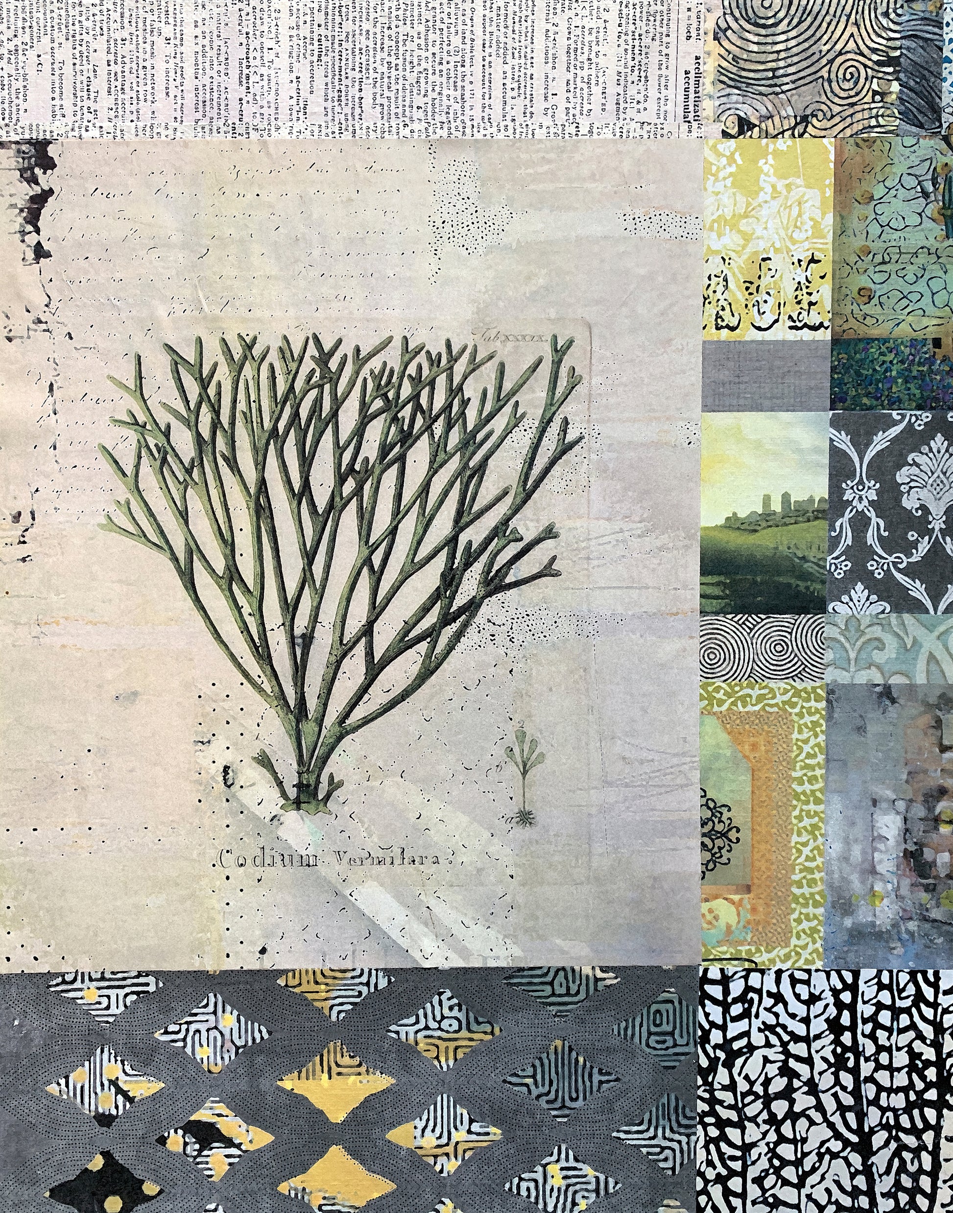 A mixed-media collage art print featuring a vintage botanical illustration of Candelabra tuberosa on aged beige paper, surrounded by various patterned paper swatches in yellow, gray, black, and green.