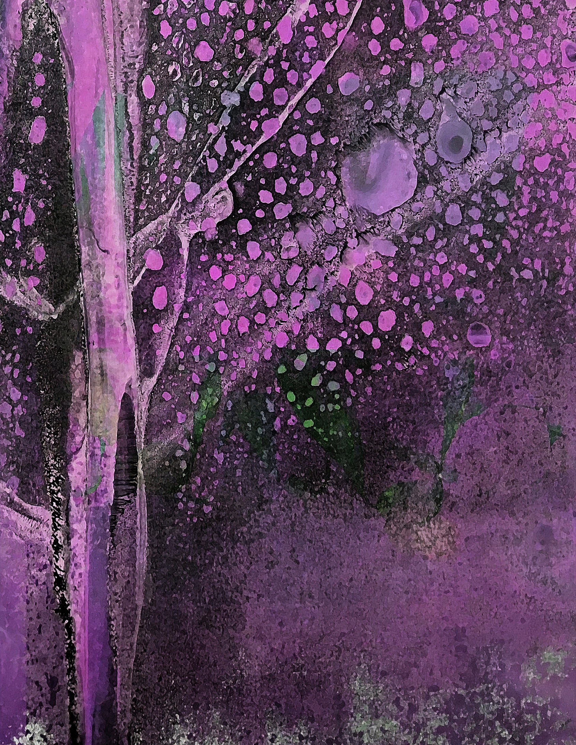 Abstract art with purple and black colors