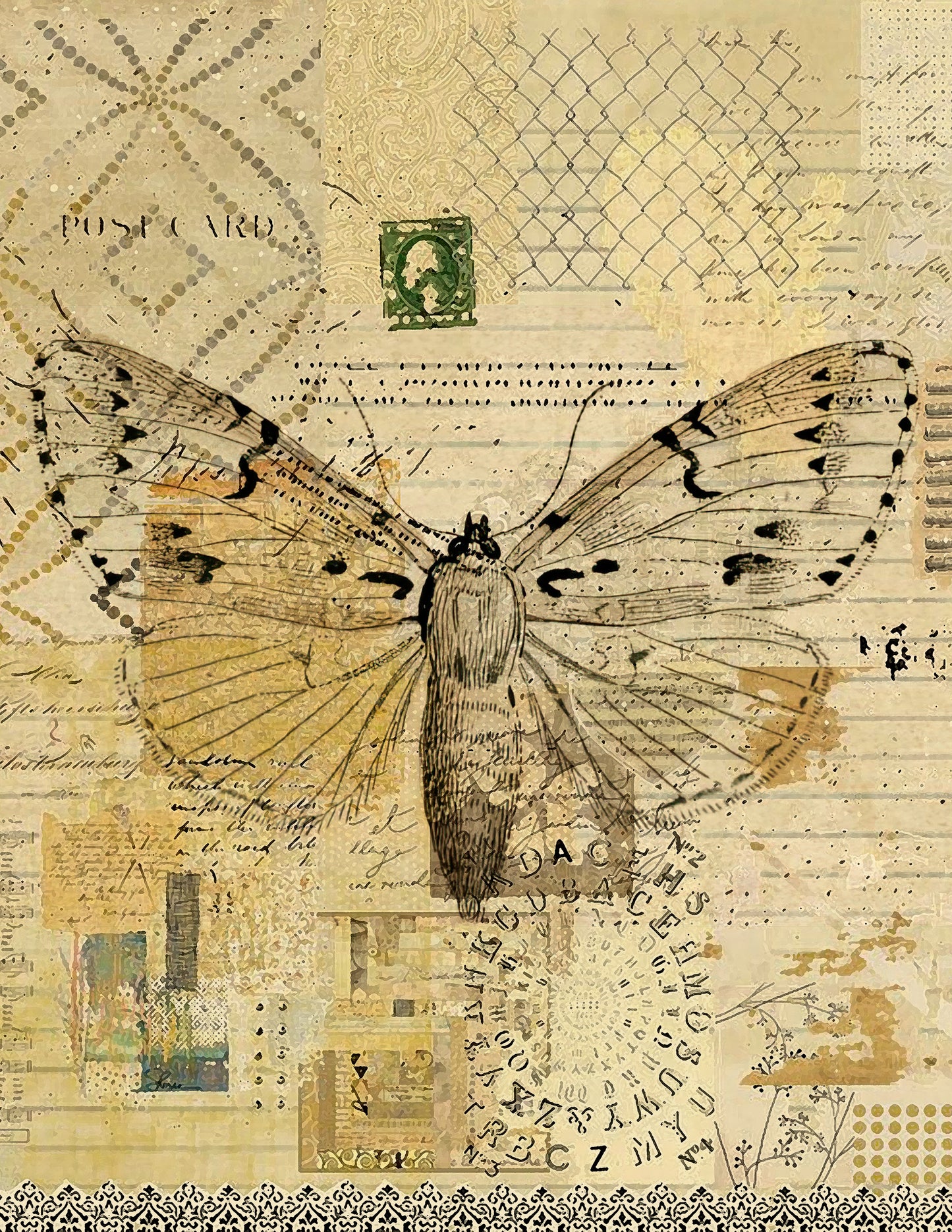 Collage with a moth illustration on vintage paper background