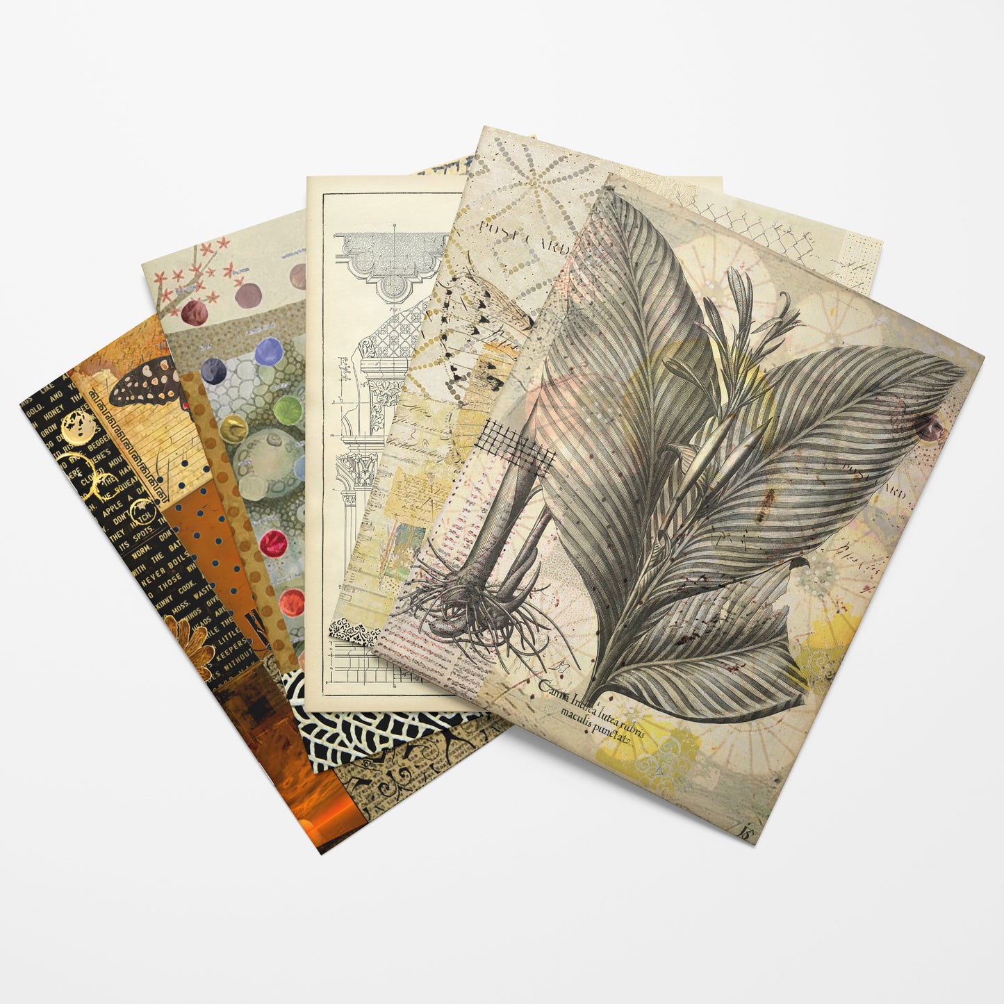 Set of four vintage-style collage papers  with botanical and decorative designs on a white background.