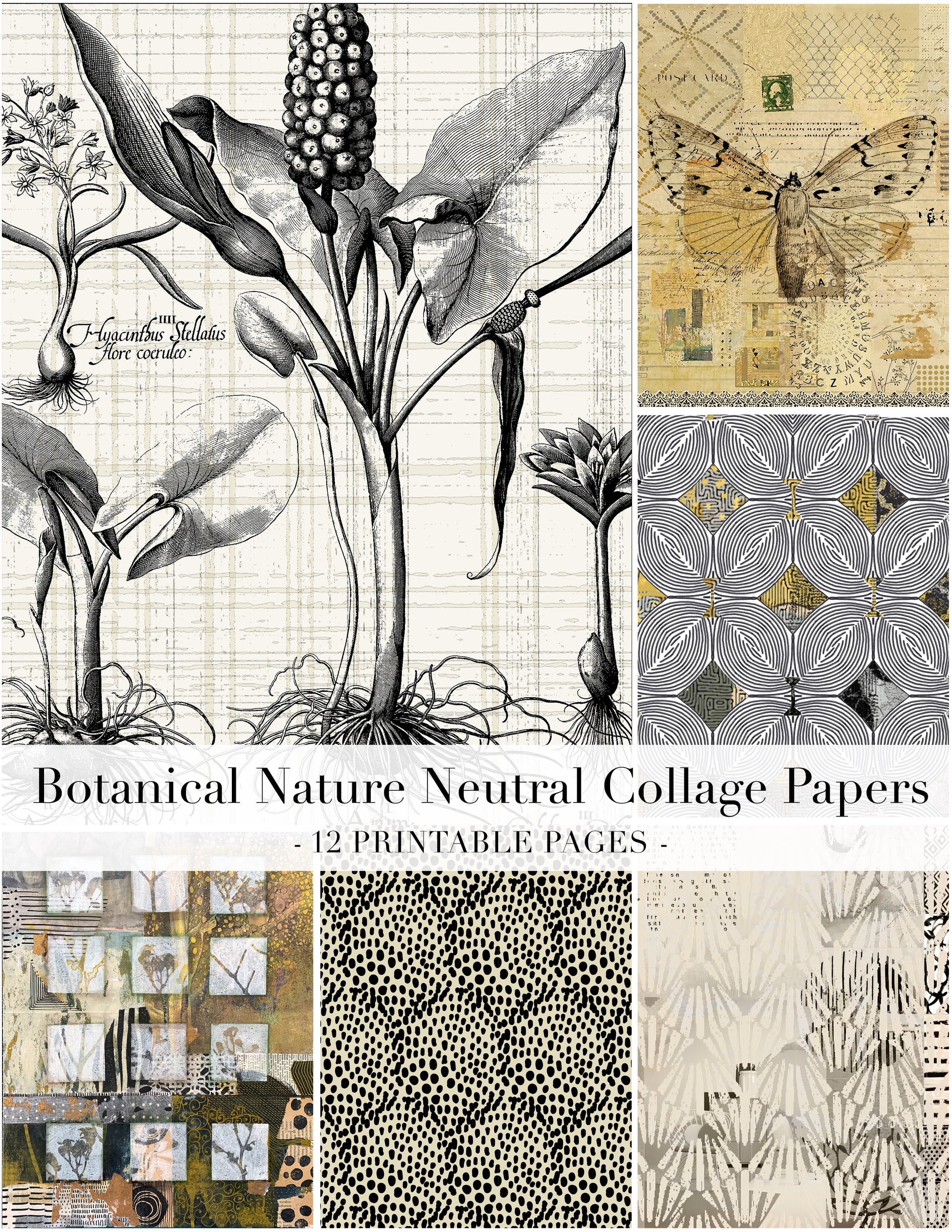 Collage of botanical illustrations and patterns with text overlay.