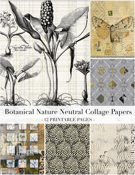 Collage of botanical illustrations and patterns with text overlay.