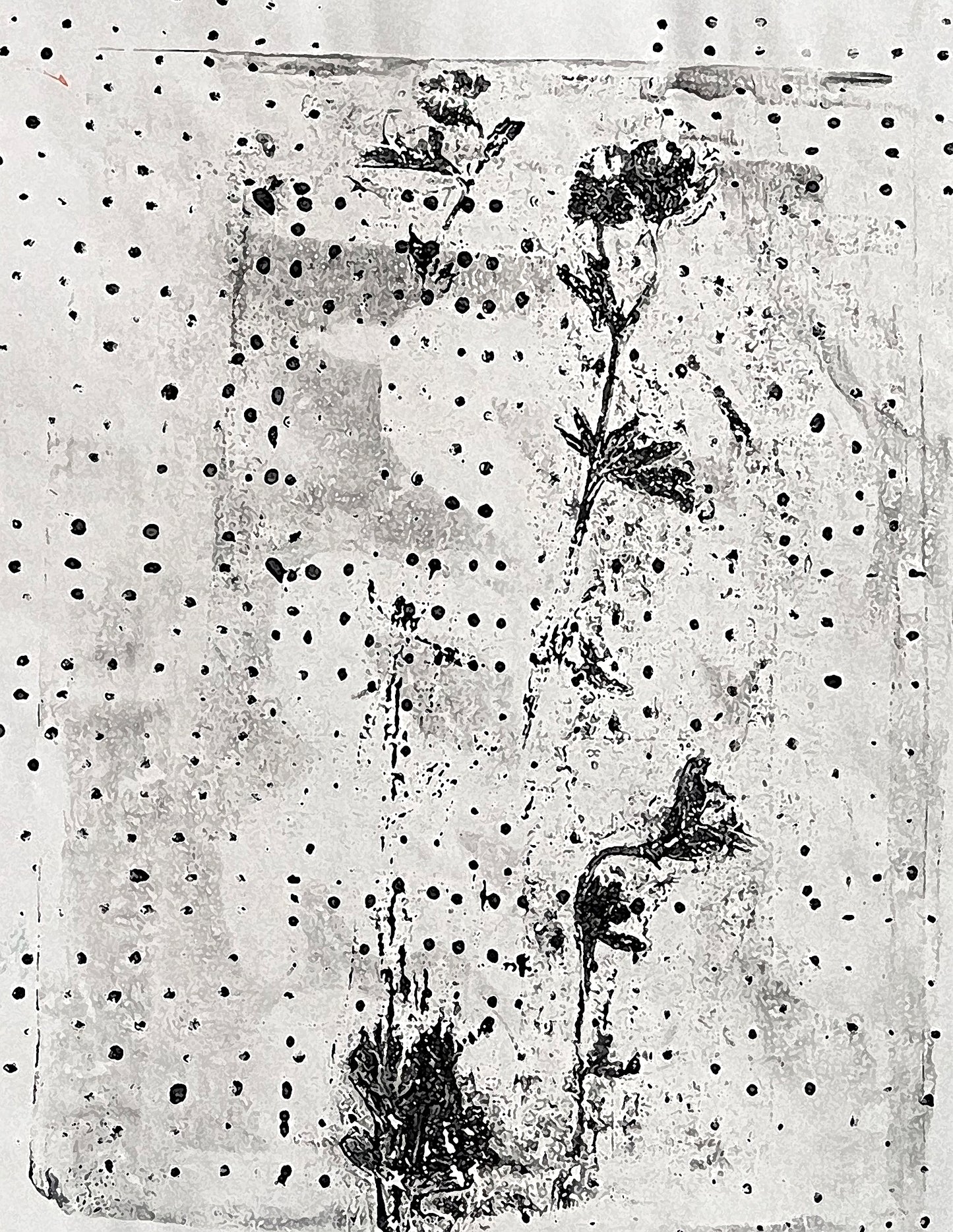 An abstract black ink botanical print on textured off-white paper, featuring pressed flower shapes and a dotted pattern.