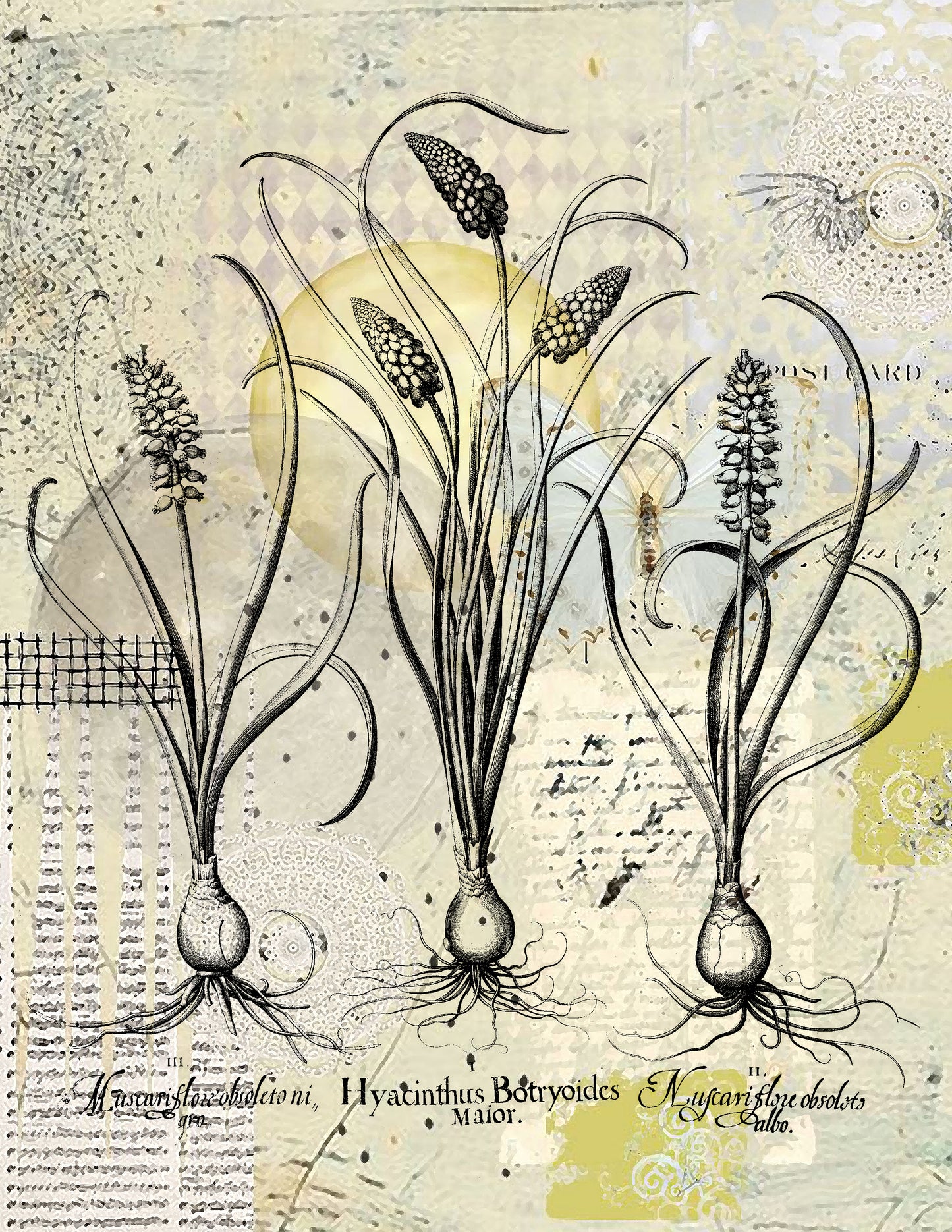 Beige is Beautiful  Collage Papers - 12 Page Printable Download 030