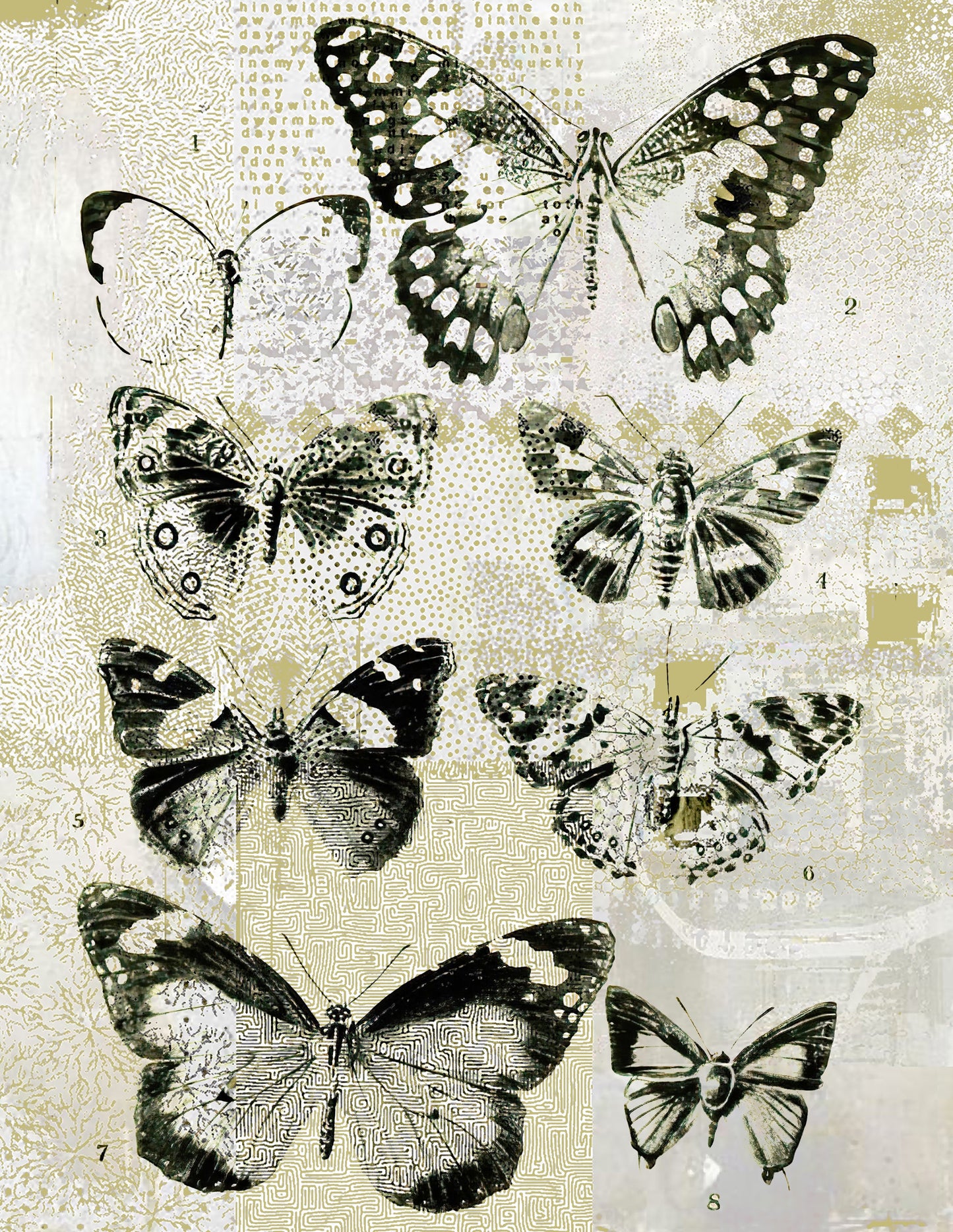 Illustration of butterflies on a textured background