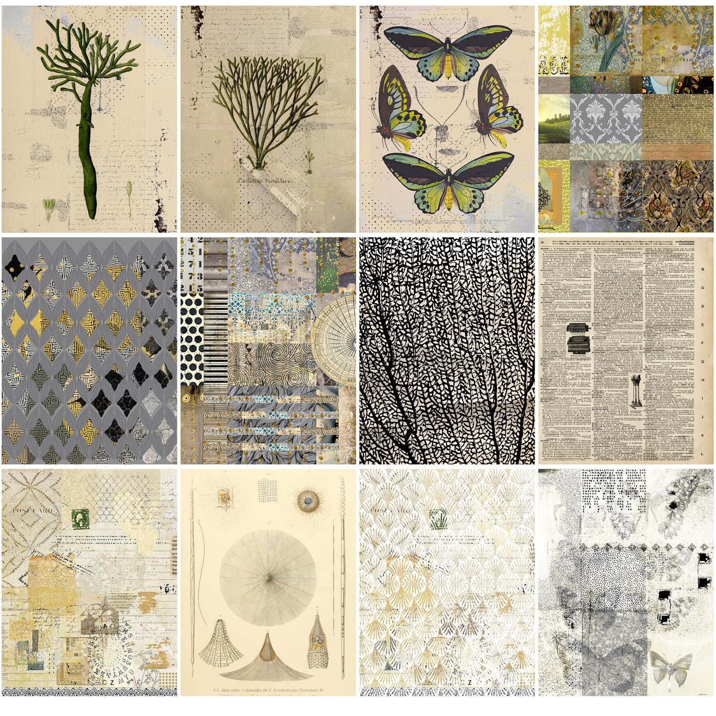 Coastal Neutral Coral Collage Papers - 12 Page Printable Download 003